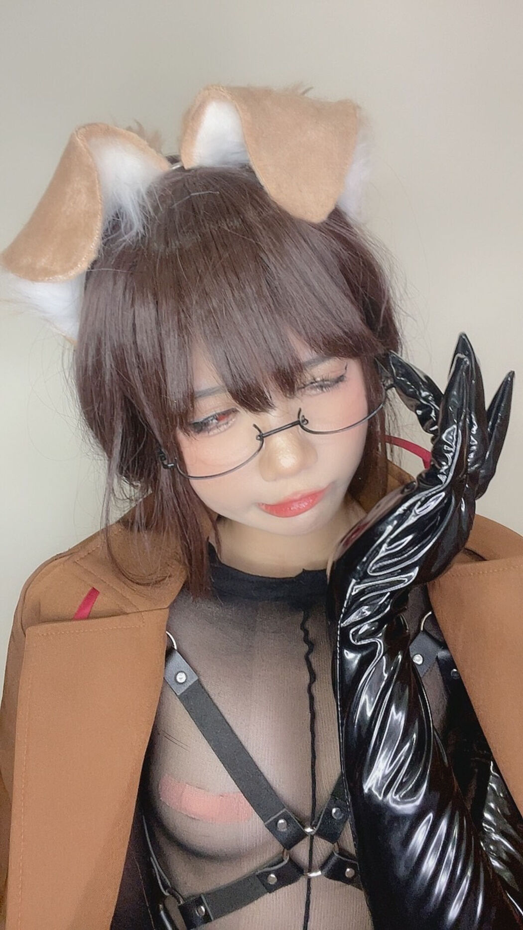 Coser@PoppaChan – Shiba Inu Part01 (56P – 10V)