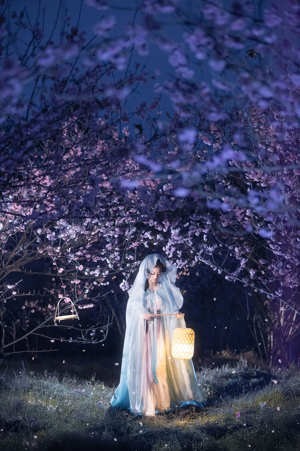 YiTuYu艺图语 Vol.8623 Qi Ni Si Mao (36P)