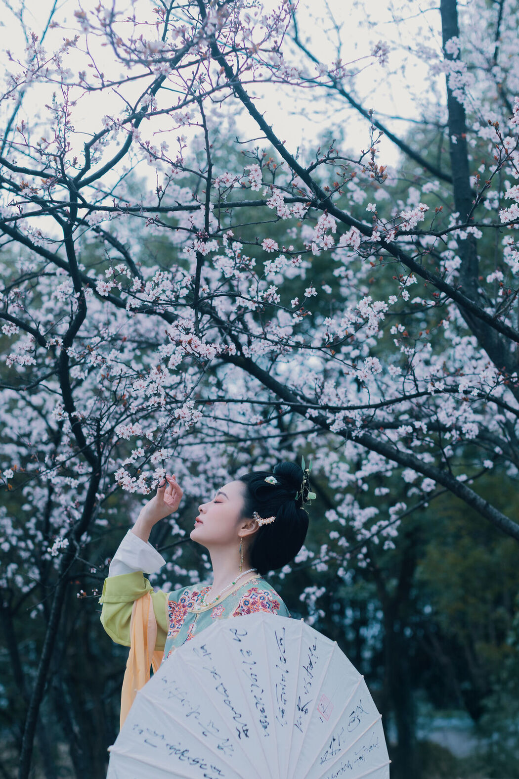 YiTuYu艺图语 Vol.8596 Zai Zai (34P)