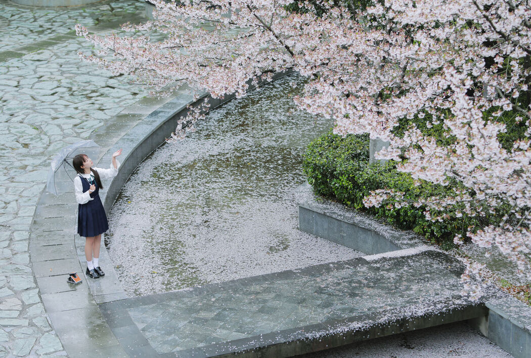 YiTuYu艺图语 Vol.8649 Xiao Zi (38P)