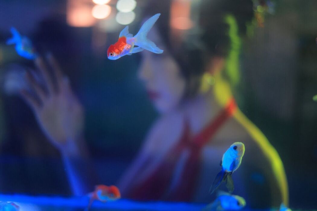 Dongeuran 동그란 – Hong Kong Part03 (52P)