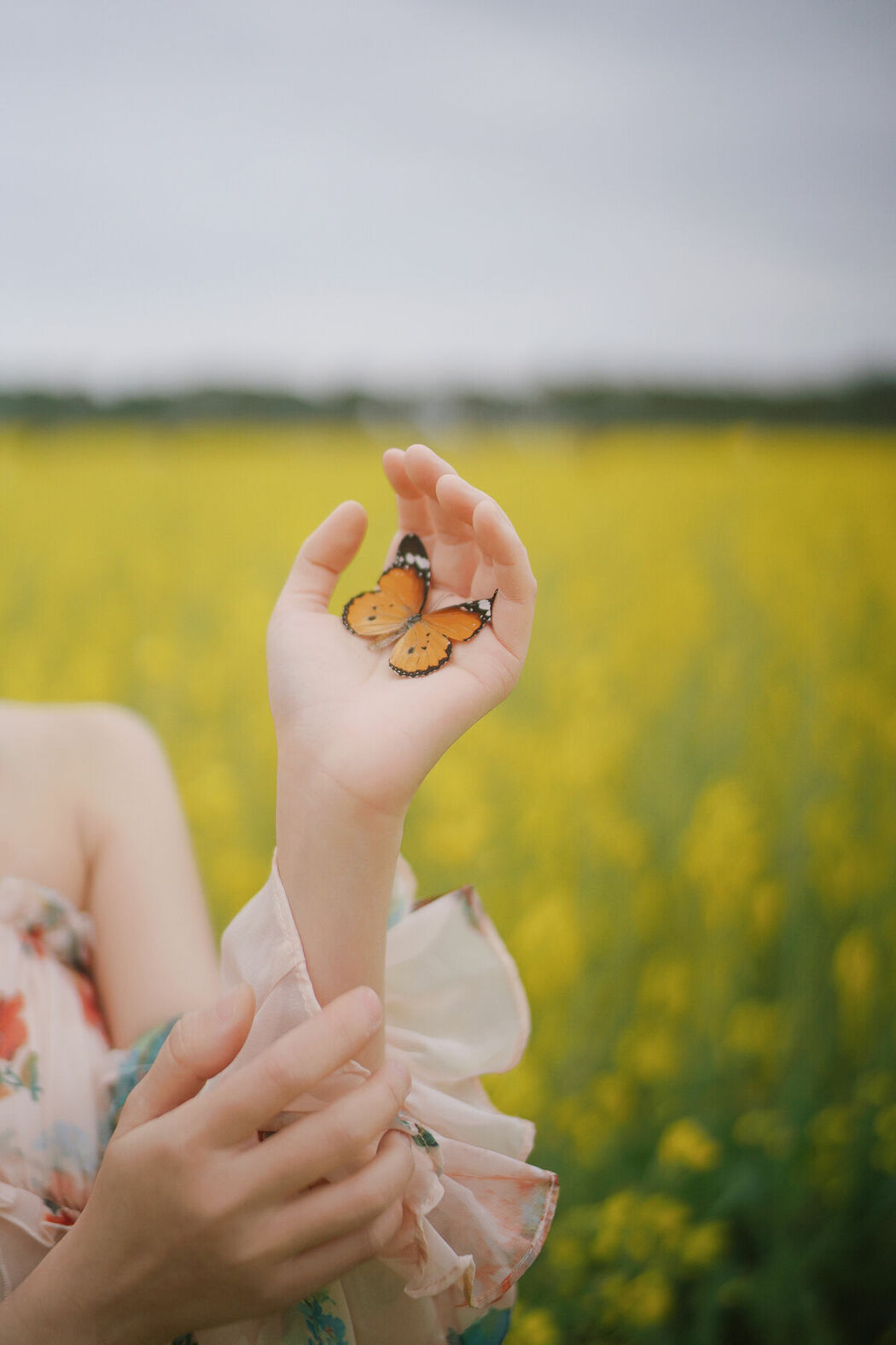 YiTuYu艺图语 Vol.8672 Ying Er YY (52P)