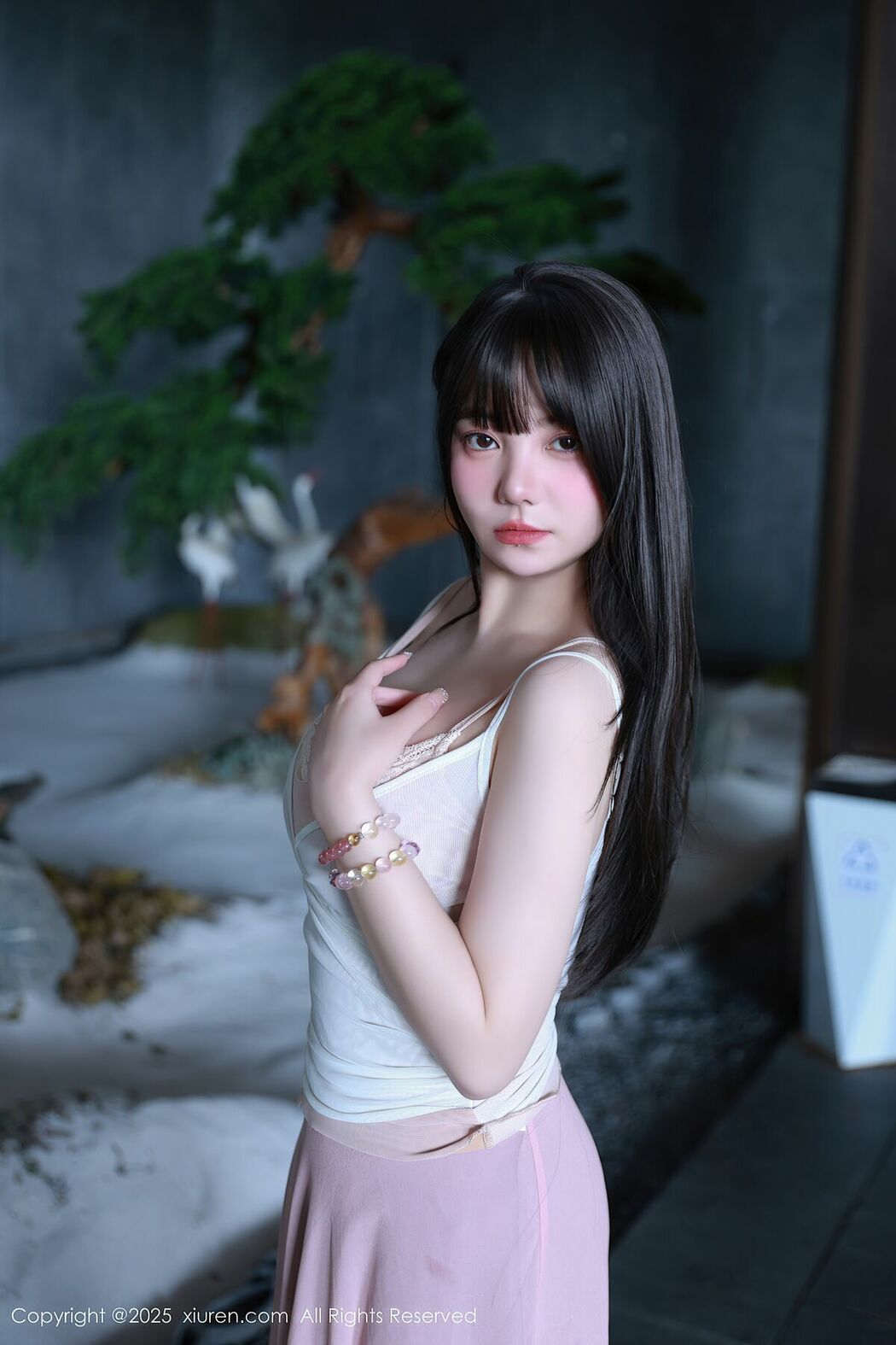 XiuRen秀人网 No.10746 Ruan Qing (87P)