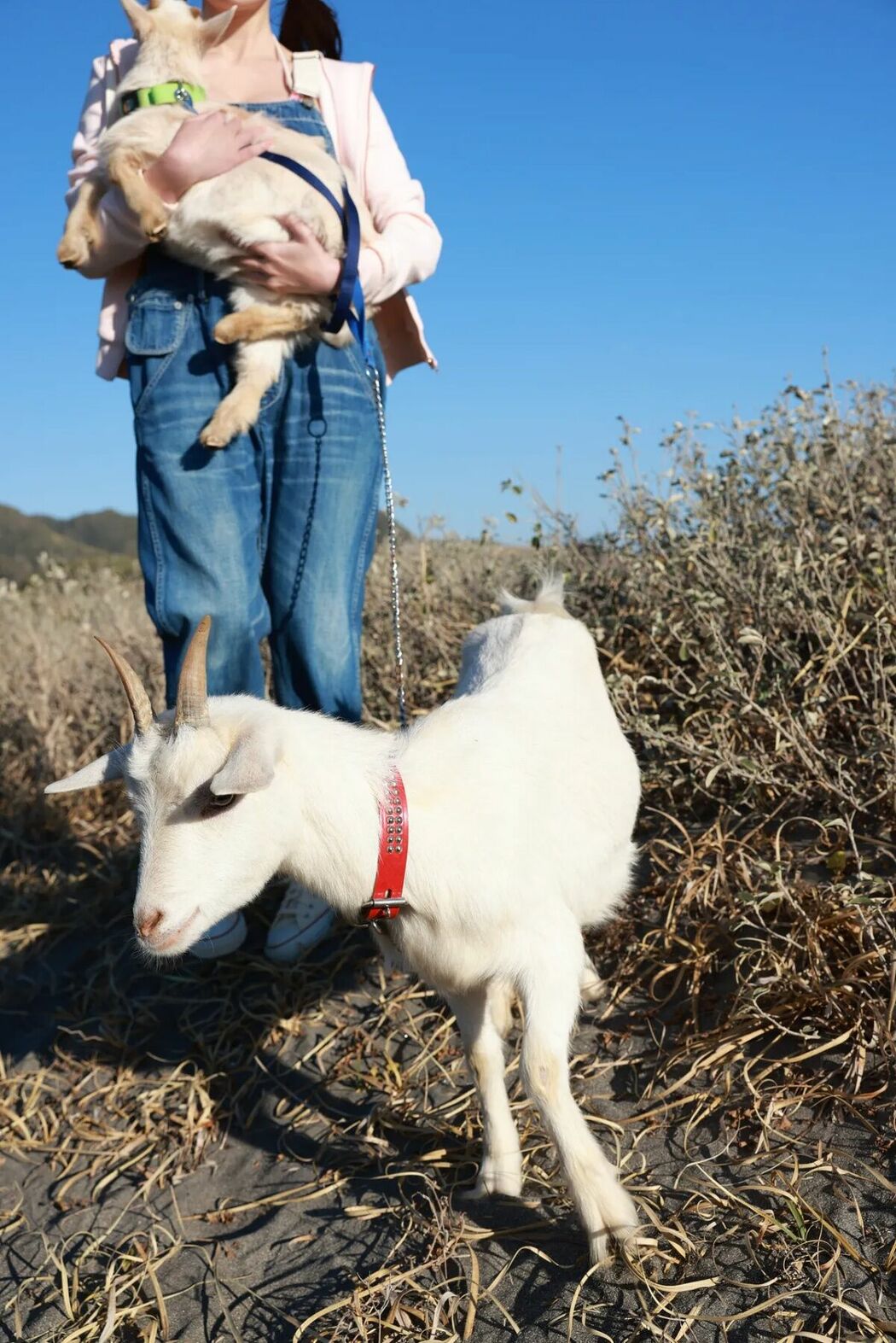JP Kana Nakada 中田花奈 – FRIDAYデジタル写真集 Soleil オール未公開スペシャルEdition Vol.2 Part02 (47P)