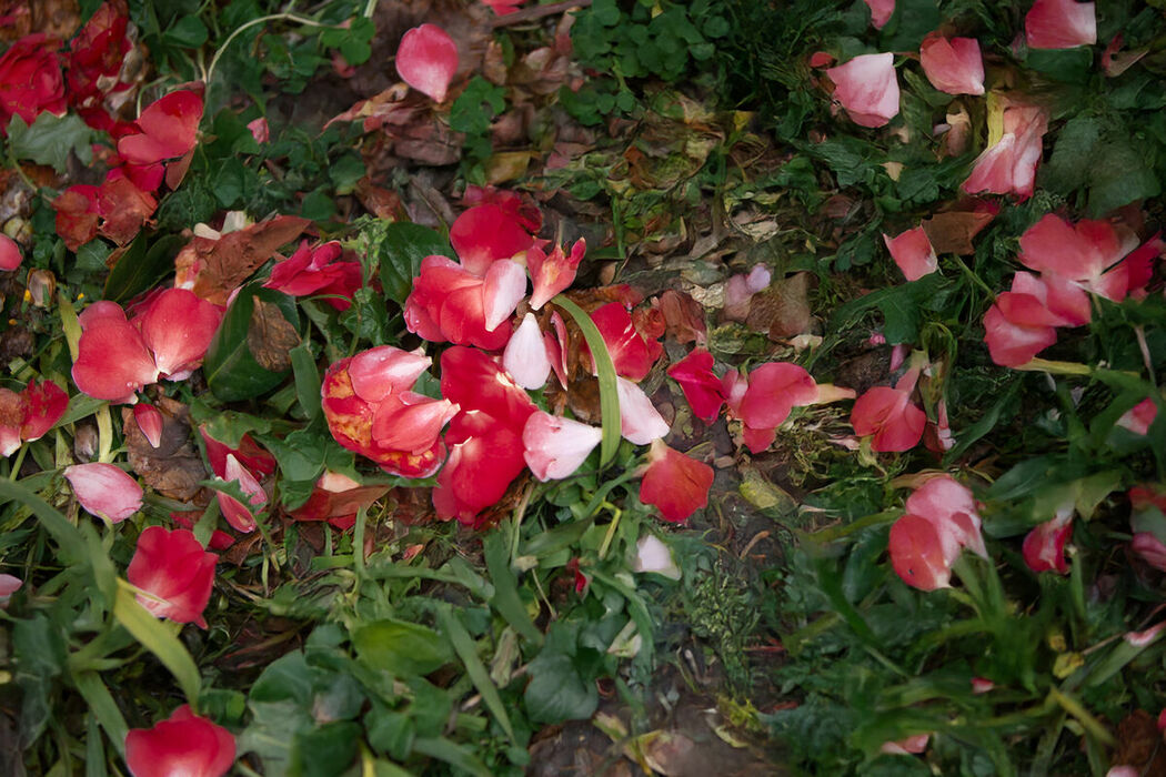 YiTuYu艺图语 Vol.8689 Qi Ni Si Mao (41P)