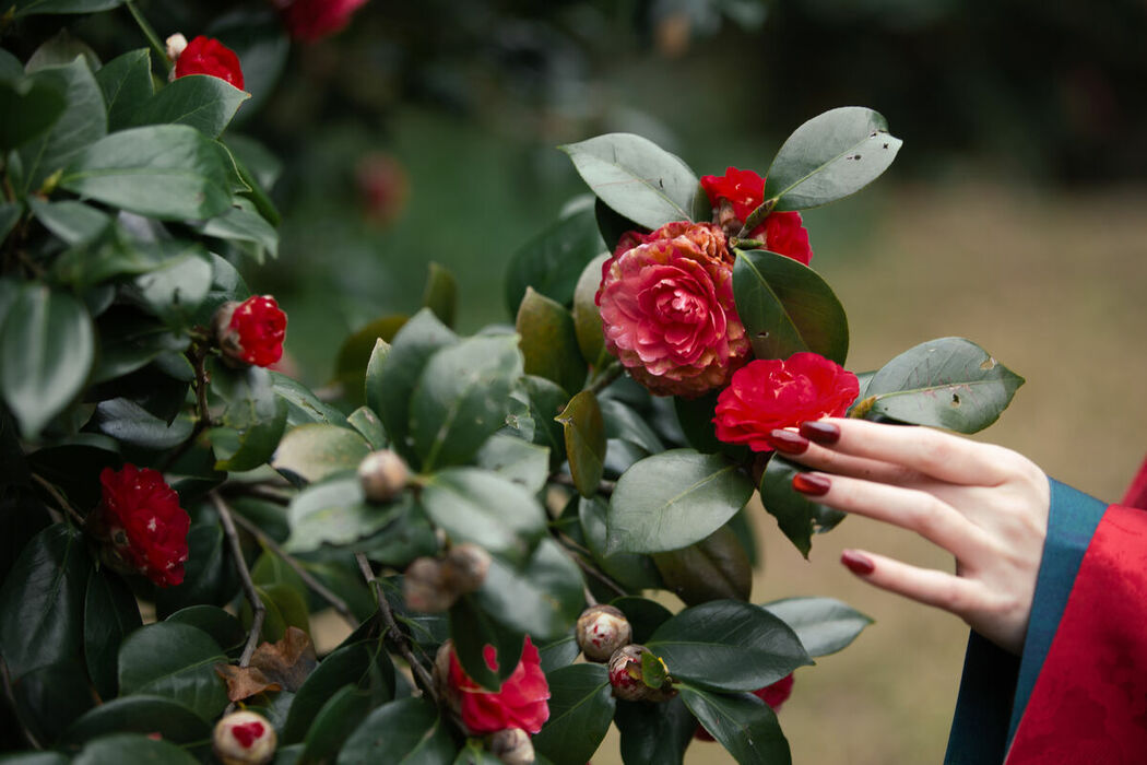 YiTuYu艺图语 Vol.8689 Qi Ni Si Mao (41P)