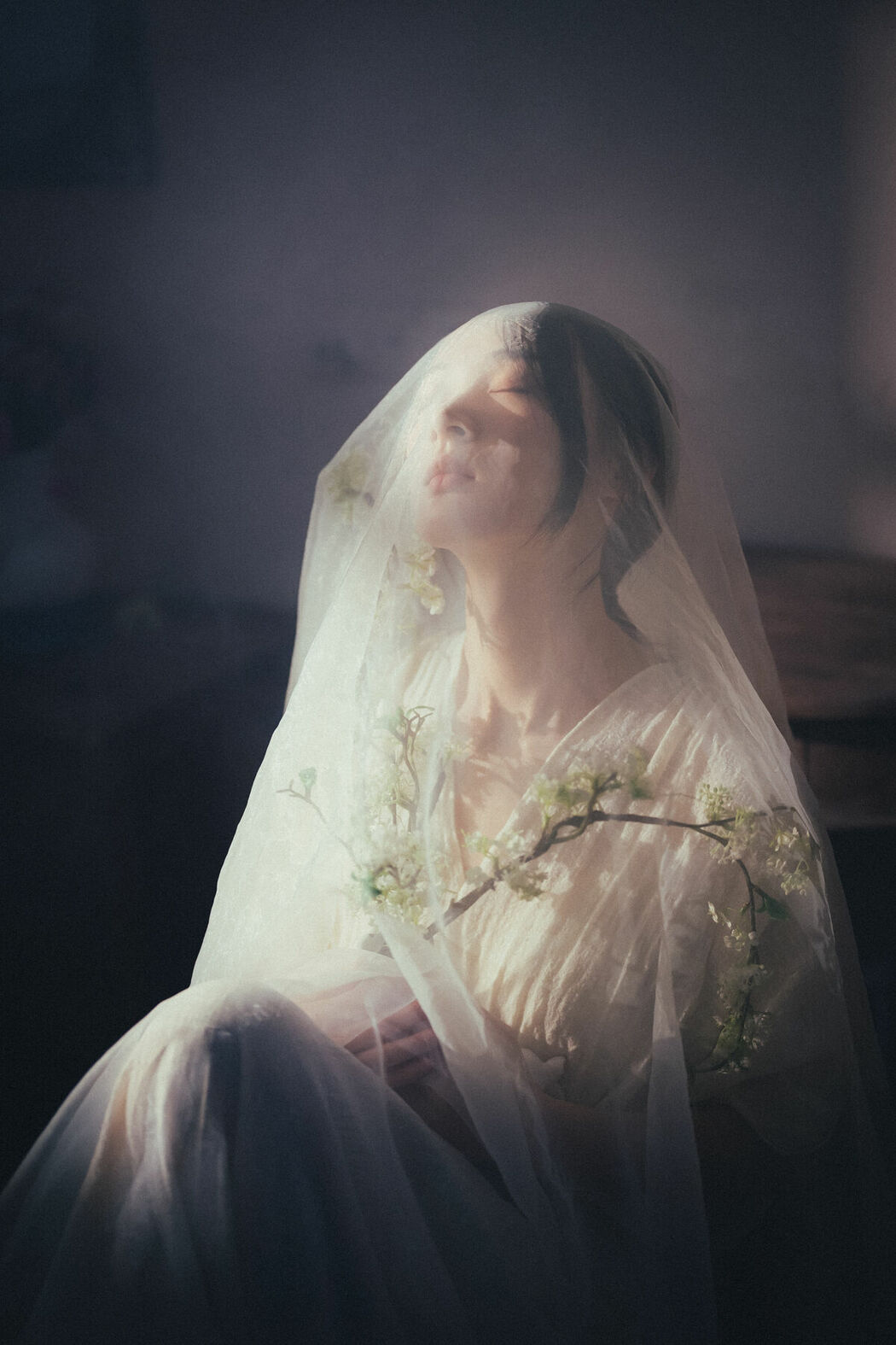 YiTuYu艺图语 Vol.8717 Fang Xiu (27P)