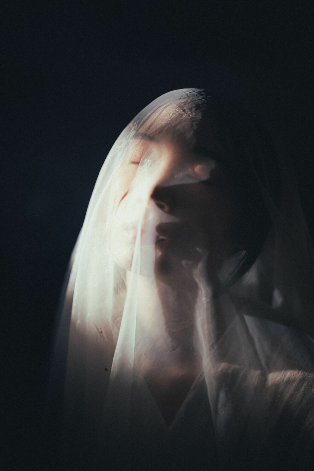 YiTuYu艺图语 Vol.8717 Fang Xiu (27P)