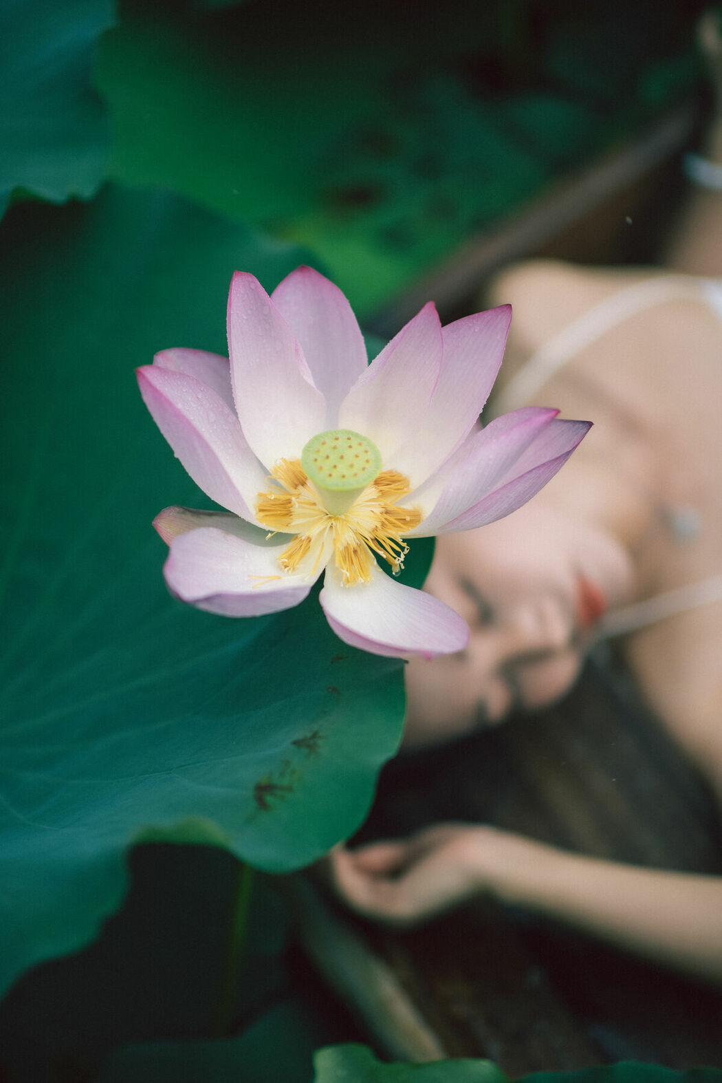 YiTuYu艺图语 Vol.8733 Ju Zi (28P)