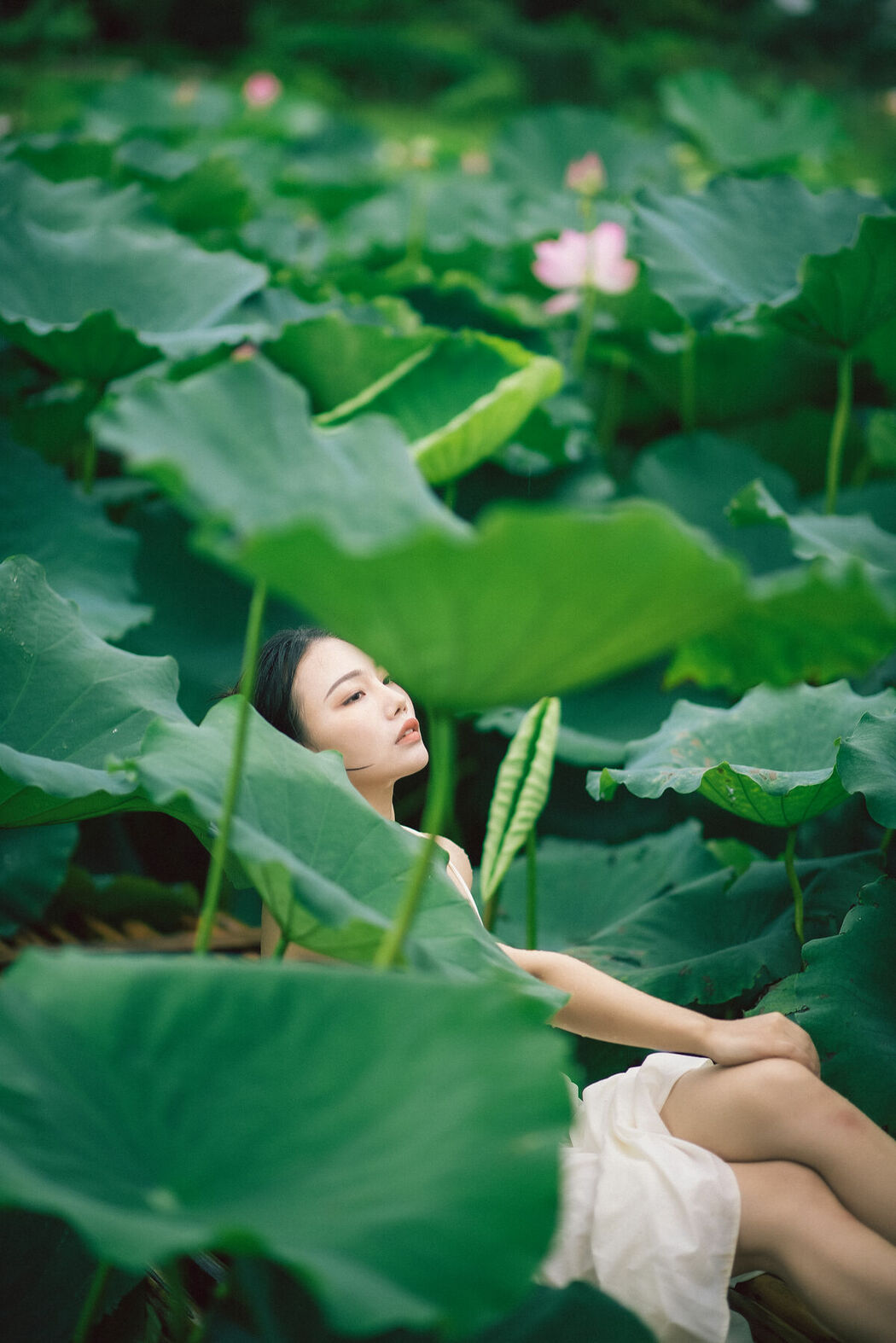 YiTuYu艺图语 Vol.8733 Ju Zi (28P)