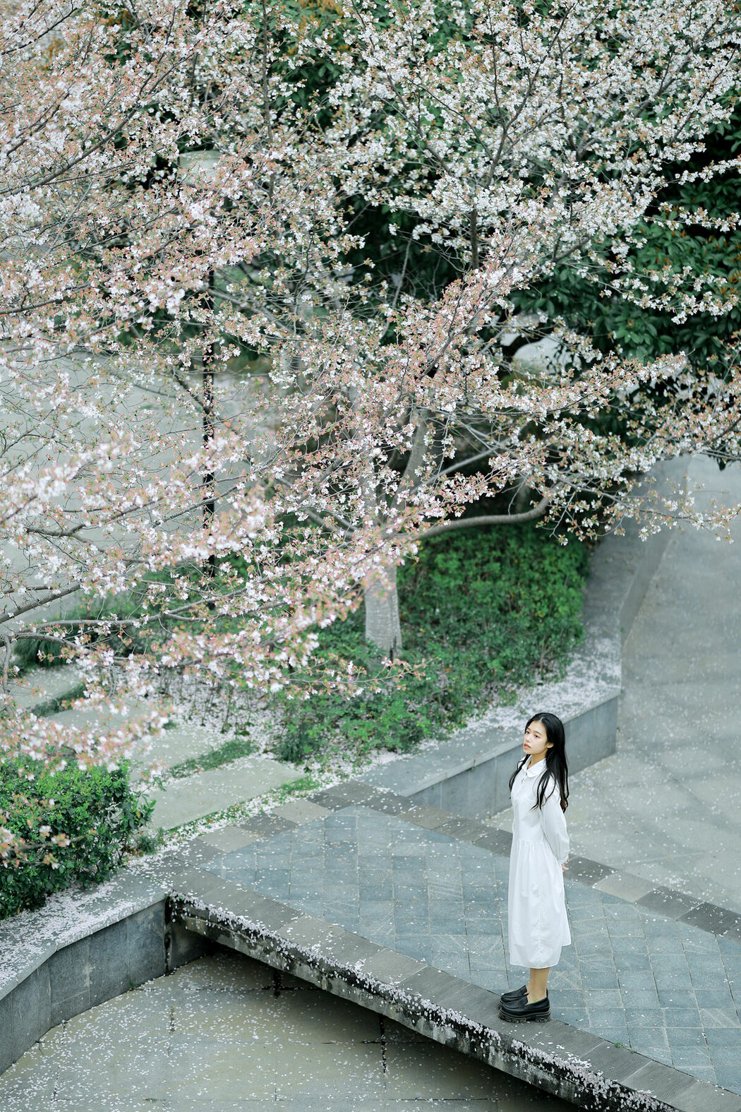 YiTuYu艺图语 Vol.8741 Long Xing Er (31P)