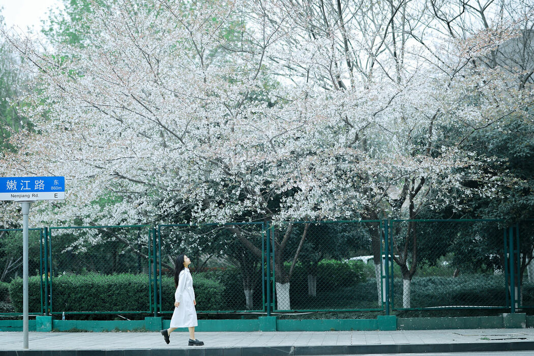 YiTuYu艺图语 Vol.8741 Long Xing Er (31P)