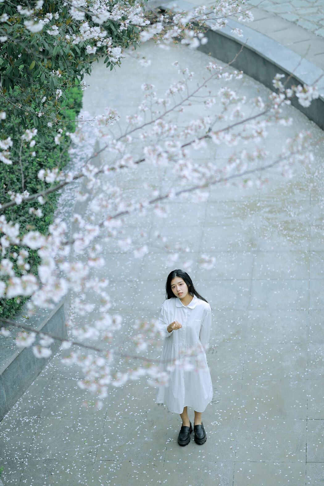 YiTuYu艺图语 Vol.8741 Long Xing Er (31P)