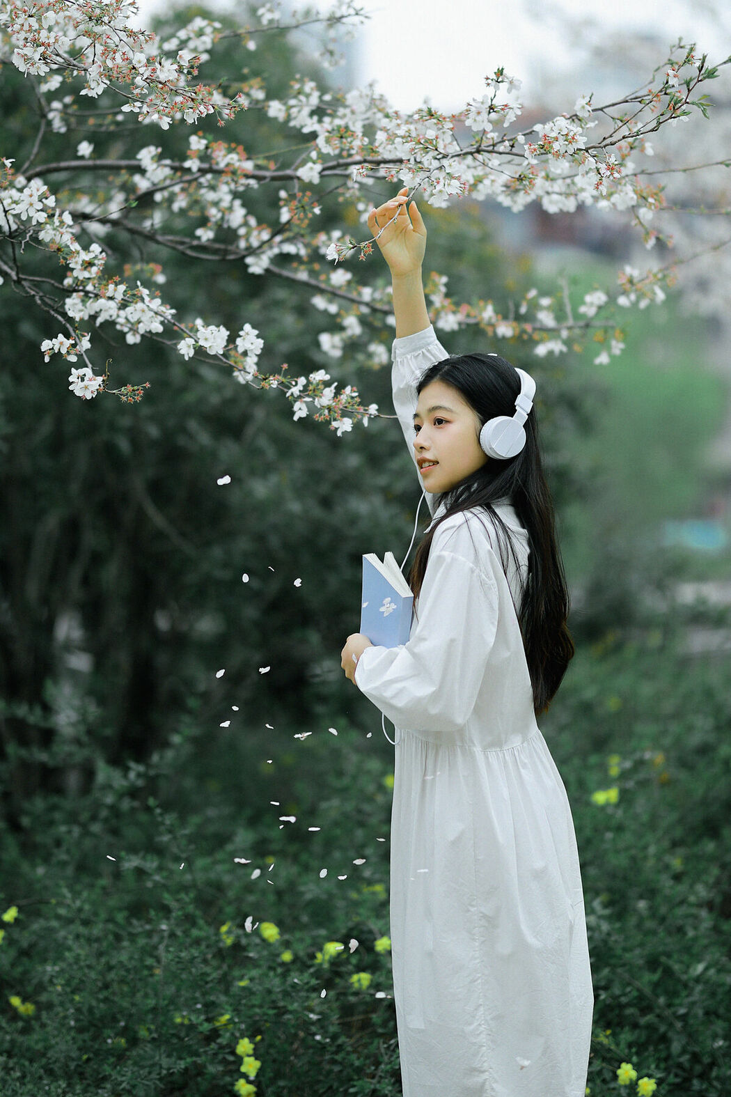 YiTuYu艺图语 Vol.8741 Long Xing Er (31P)