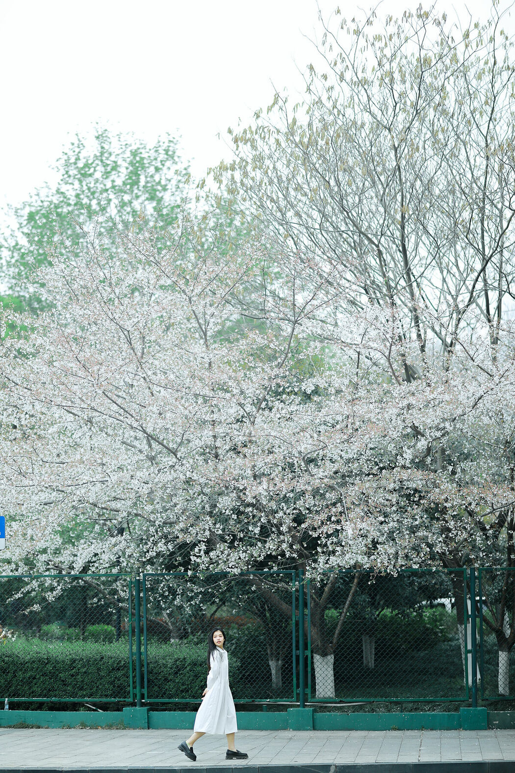 YiTuYu艺图语 Vol.8741 Long Xing Er (31P)