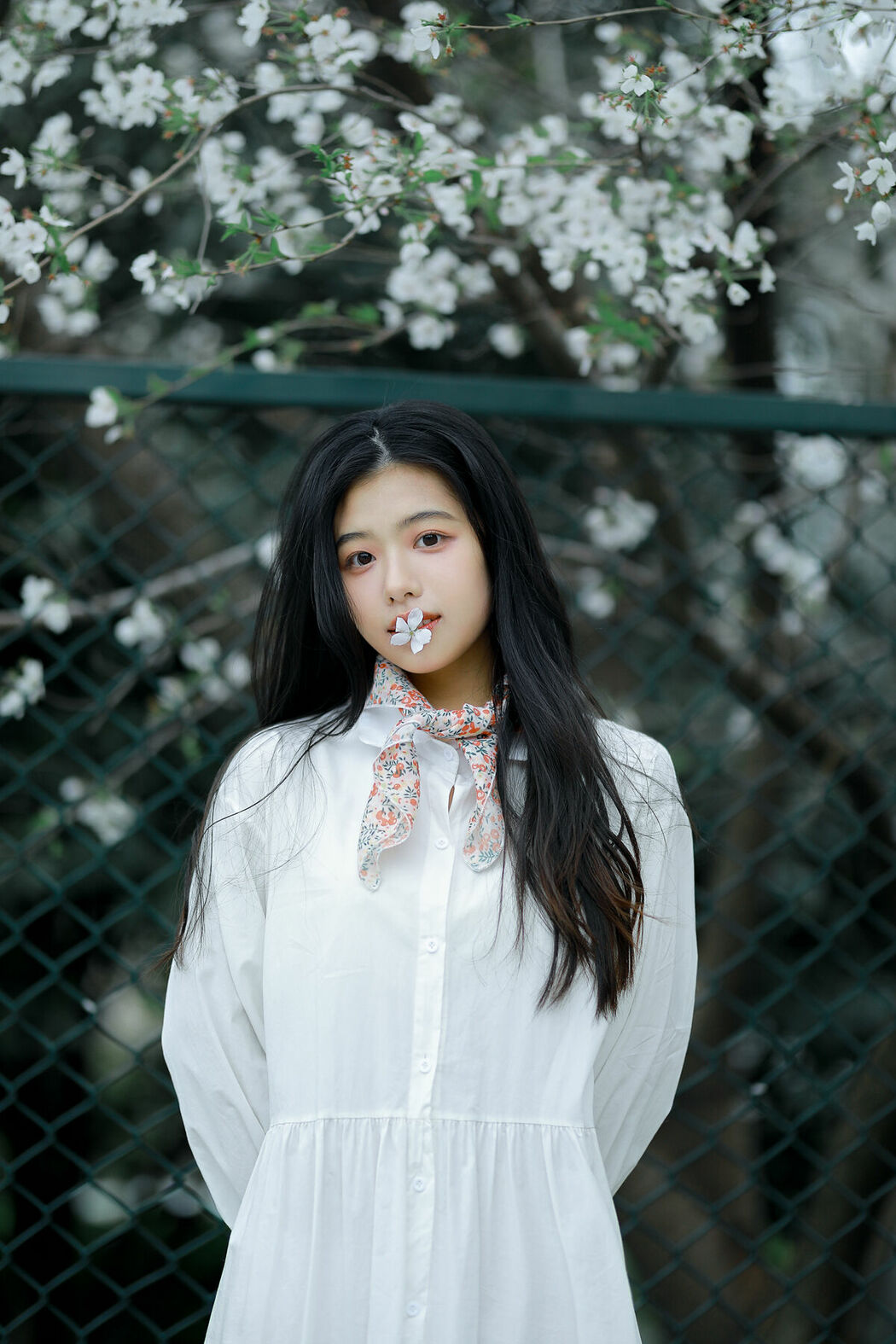 YiTuYu艺图语 Vol.8741 Long Xing Er (31P)