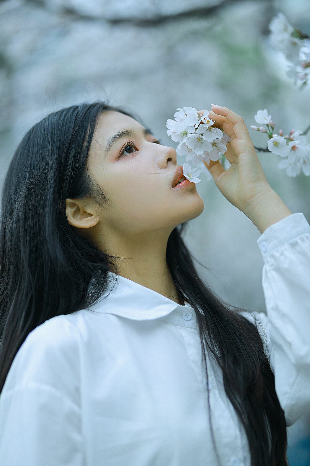 YiTuYu艺图语 Vol.8741 Long Xing Er (31P)