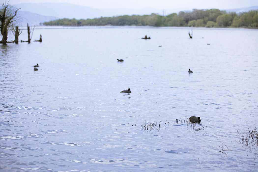 YiTuYu艺图语 Vol.8843 Wan Wan (36P)