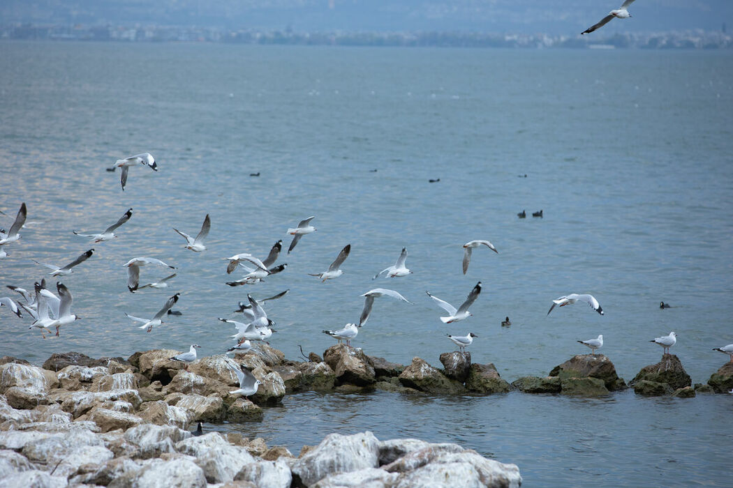 YiTuYu艺图语 Vol.8851 Wan Jiang Ting (47P)