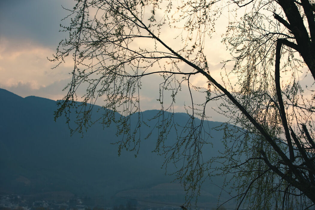 YiTuYu艺图语 Vol.8869 Yi Ming (43P)