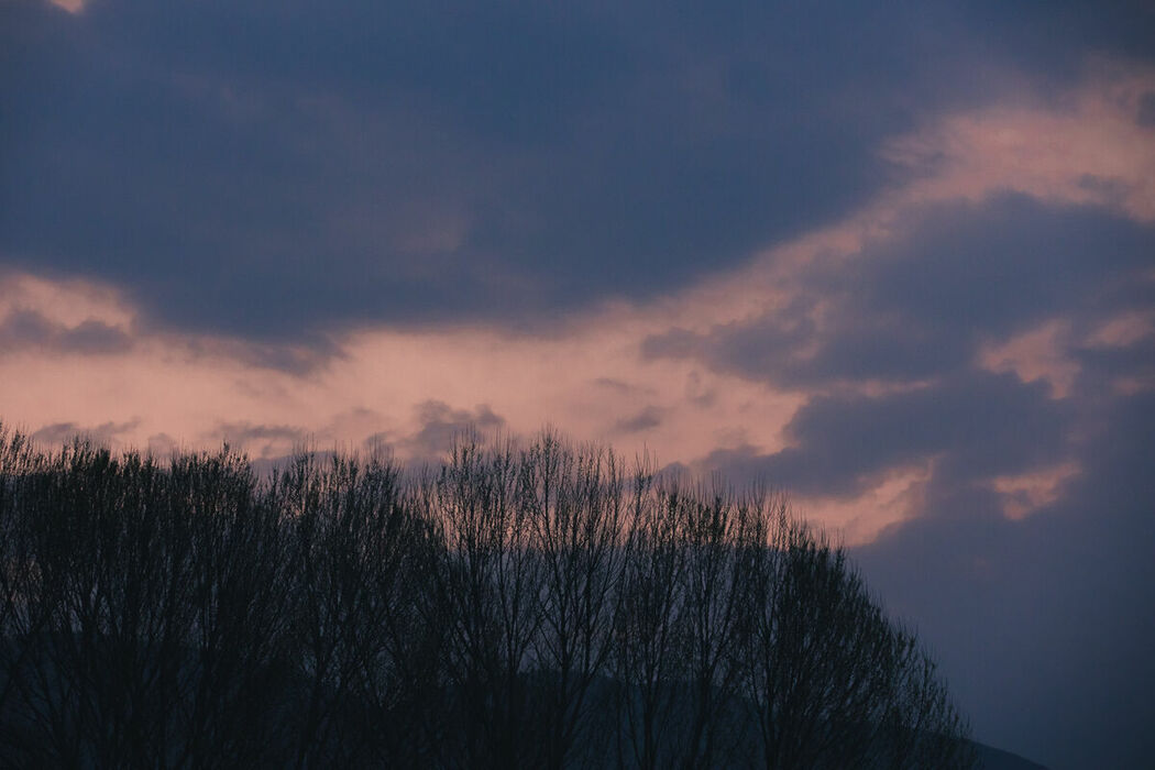 YiTuYu艺图语 Vol.8869 Yi Ming (43P)