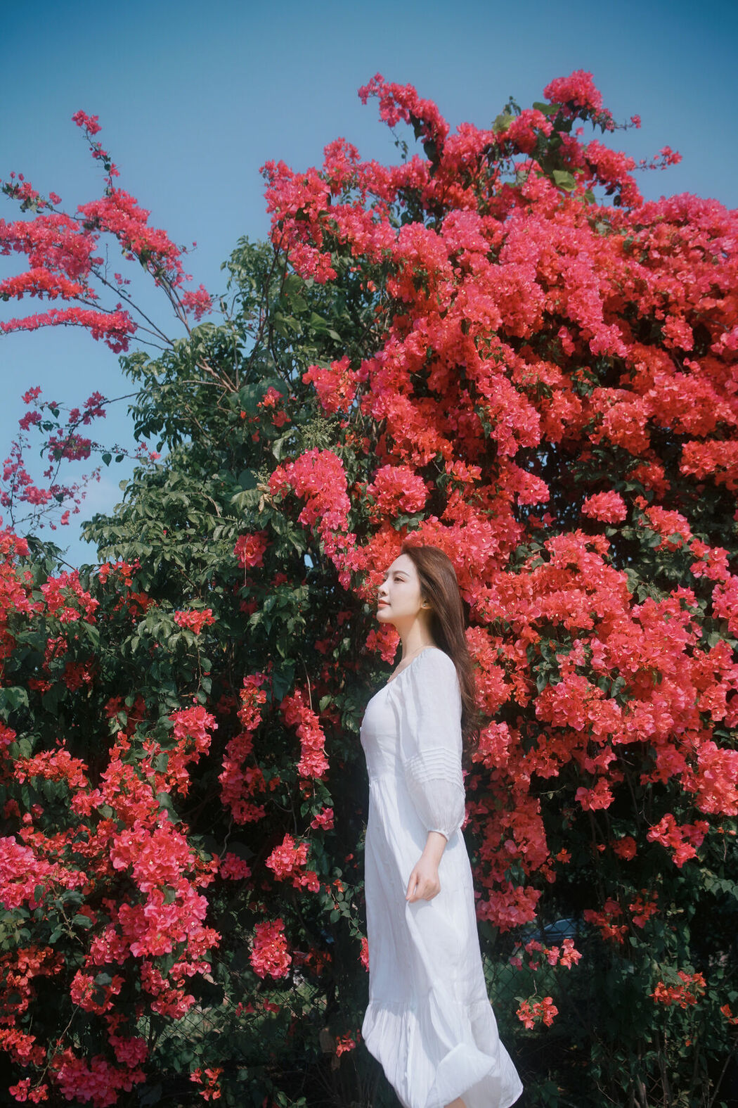 YiTuYu艺图语 Vol.8884 Ying Er YY (47P)