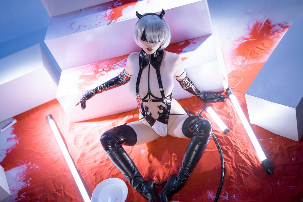 Coser@星之迟迟Hoshilily – 尼尔 2B同人 (67P)