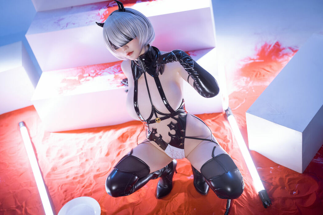Coser@星之迟迟Hoshilily – 尼尔 2B同人 (67P)