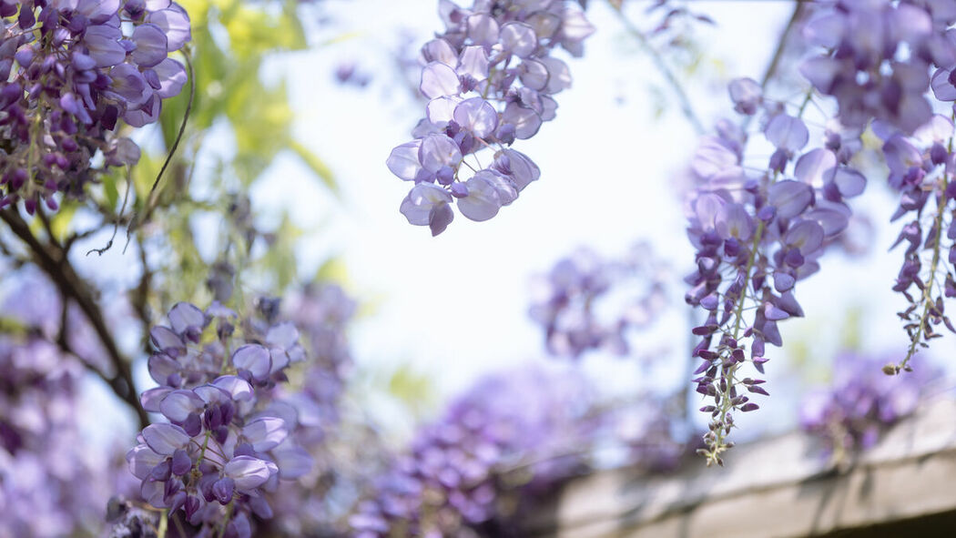 YiTuYu艺图语 Vol.8900 Xiao Y Jin Tian Ye Hen Kai Xin (27P)