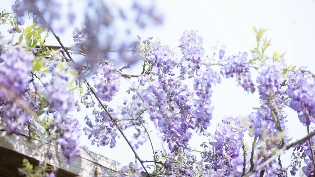 YiTuYu艺图语 Vol.8900 Xiao Y Jin Tian Ye Hen Kai Xin (27P)