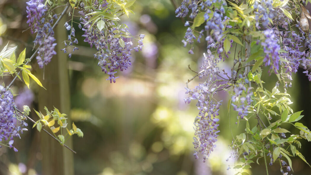 YiTuYu艺图语 Vol.8900 Xiao Y Jin Tian Ye Hen Kai Xin (27P)