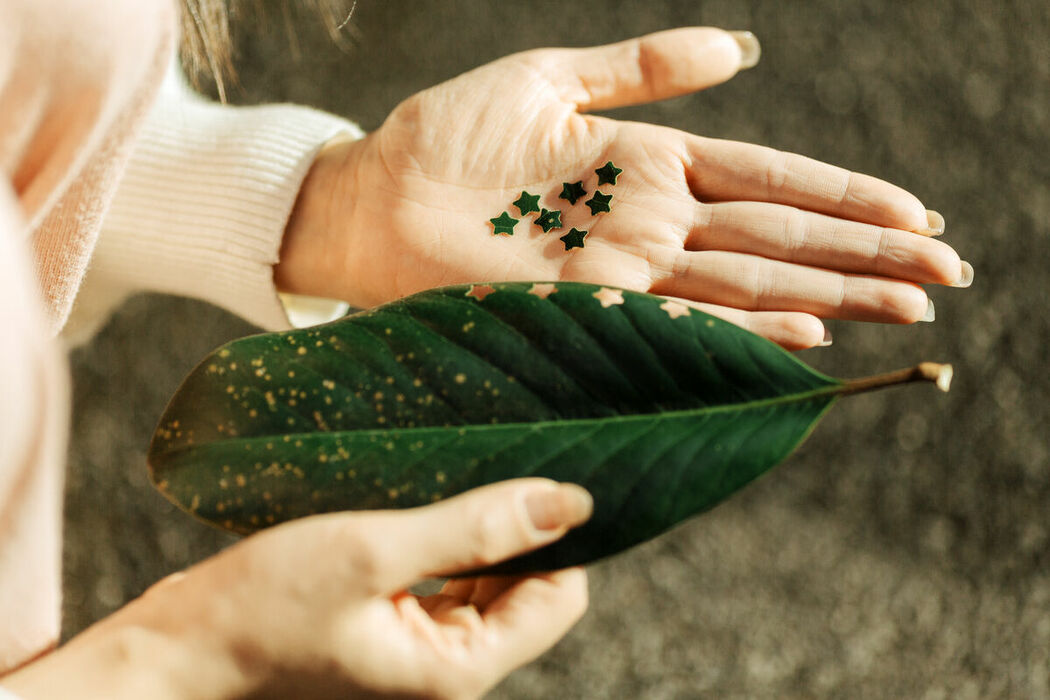 YiTuYu艺图语 Vol.8917 Wo Shi Xiao Long Ya (52P)