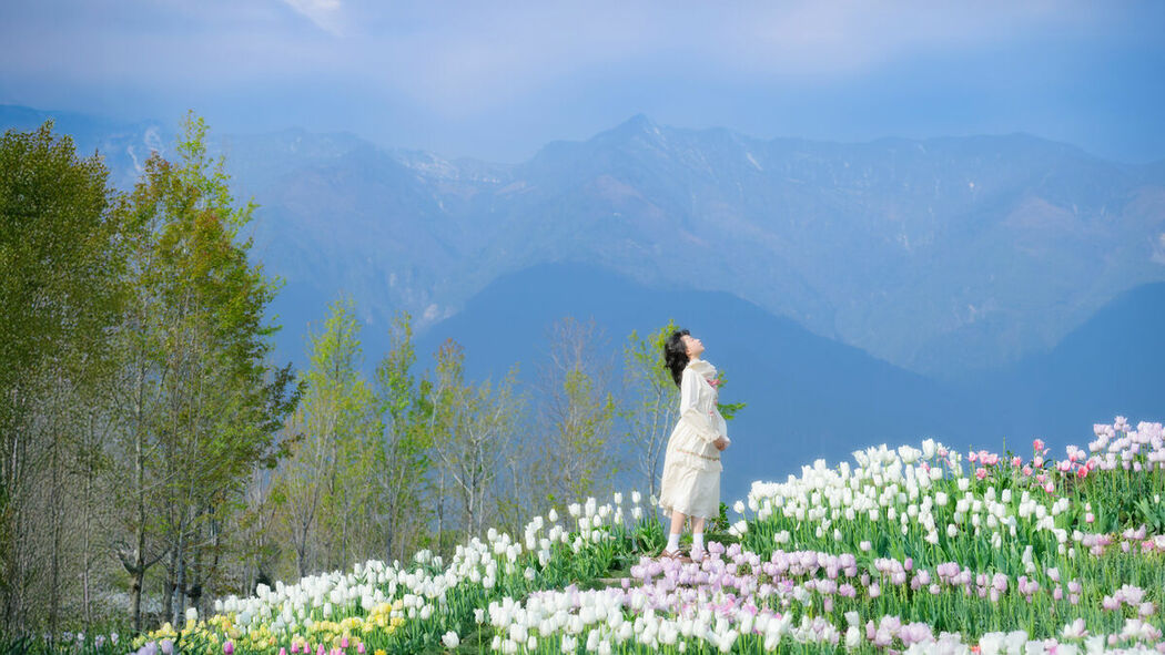 YiTuYu艺图语 Vol.8915 Disexi Si Ning (21P)