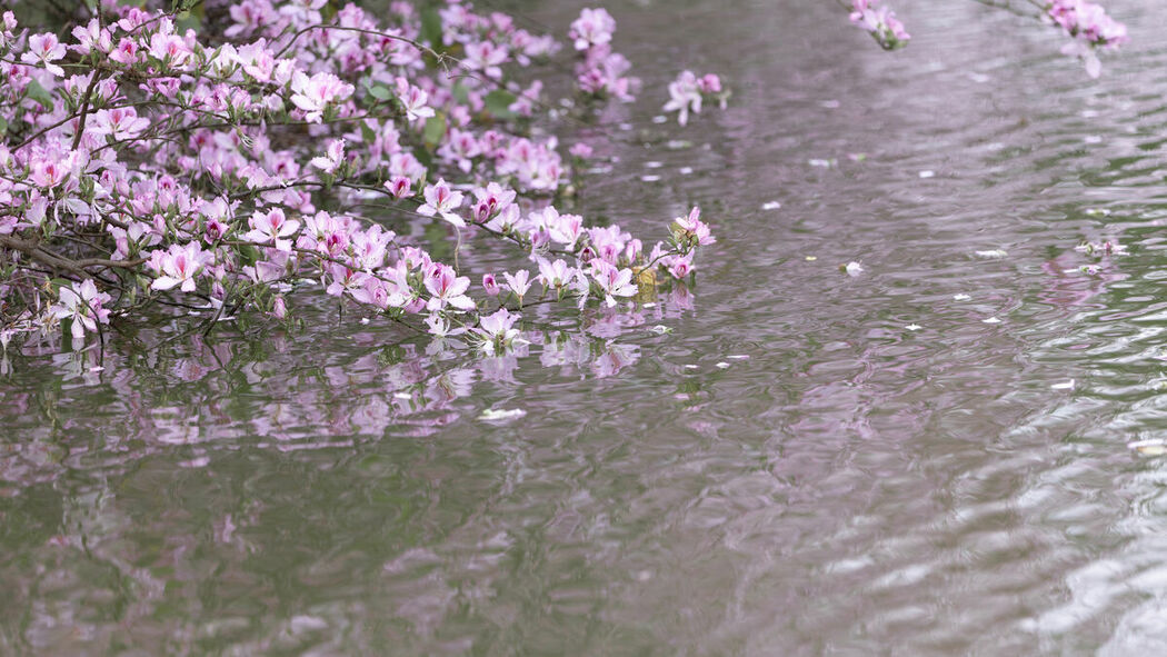 YiTuYu艺图语 Vol.8912 Qiao Qiao (28P)