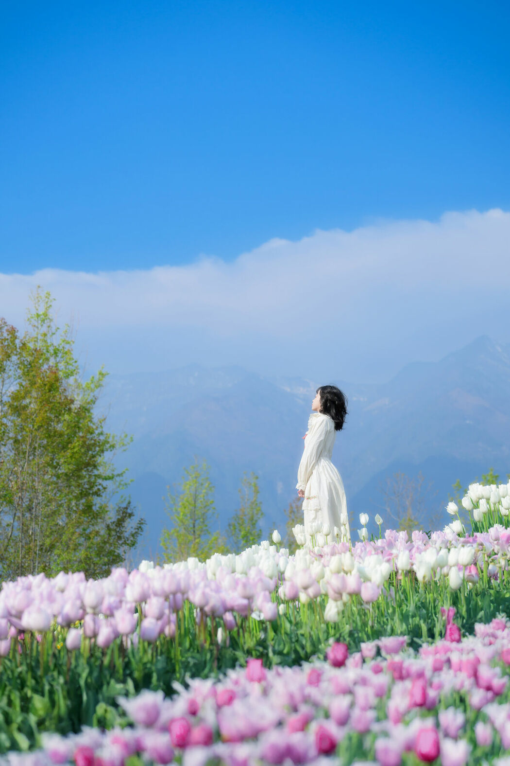 YiTuYu艺图语 Vol.8915 Disexi Si Ning (21P)