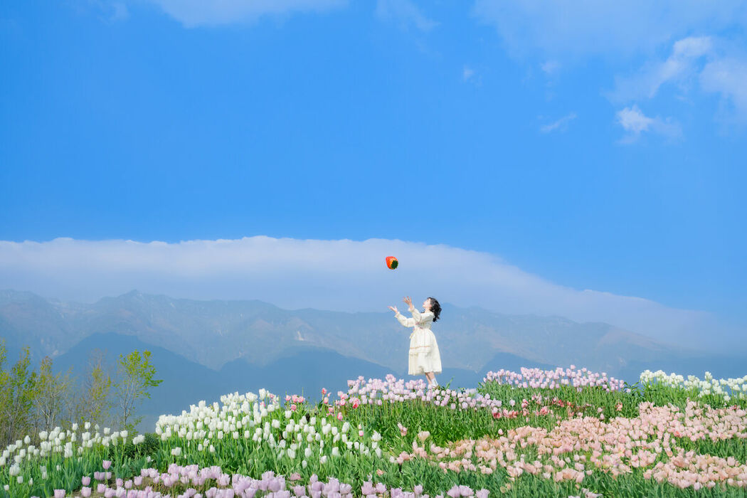 YiTuYu艺图语 Vol.8915 Disexi Si Ning (21P)