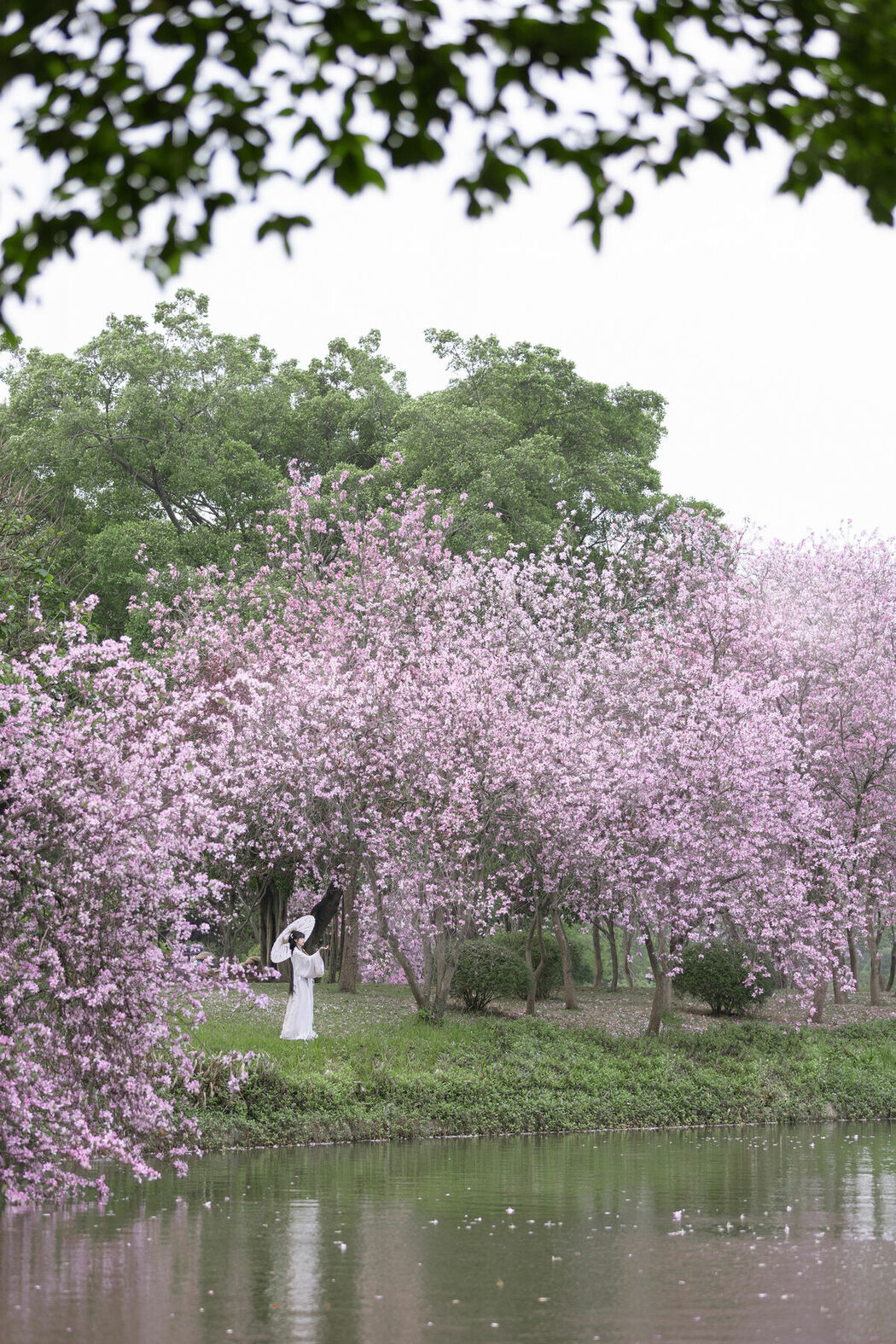 YiTuYu艺图语 Vol.8912 Qiao Qiao (28P)