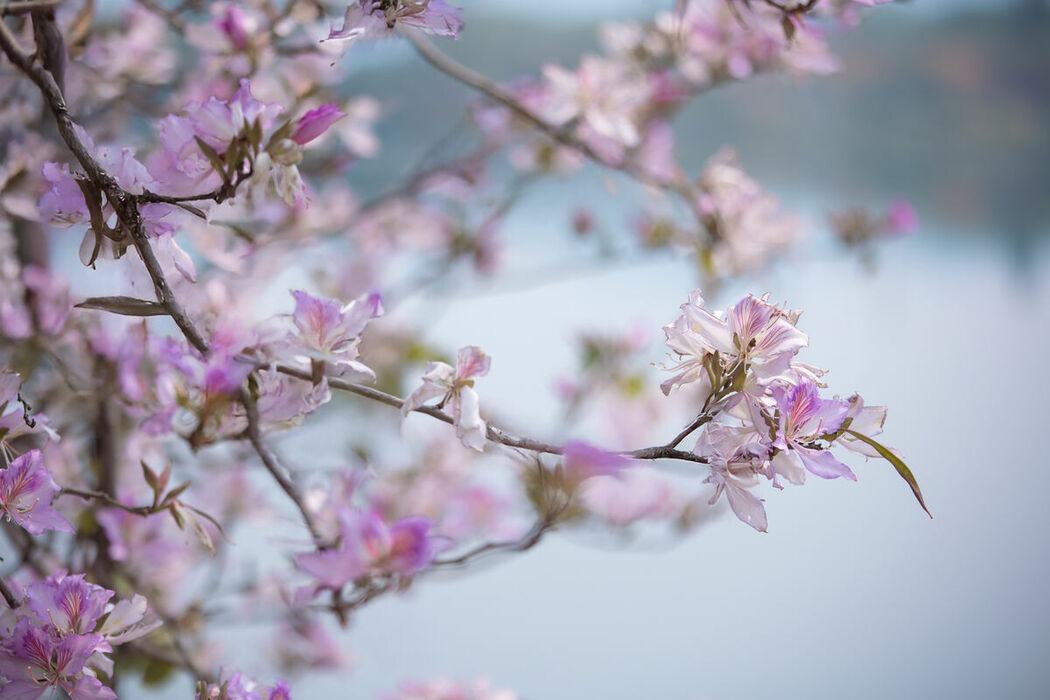 YiTuYu艺图语 Vol.8918 Jiu Shi Jiao Mei Nan A (34P)