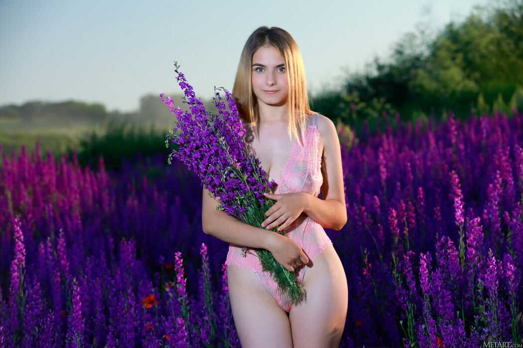 MetArt Dakota Pink – Lavender Fields Part01 (63P)