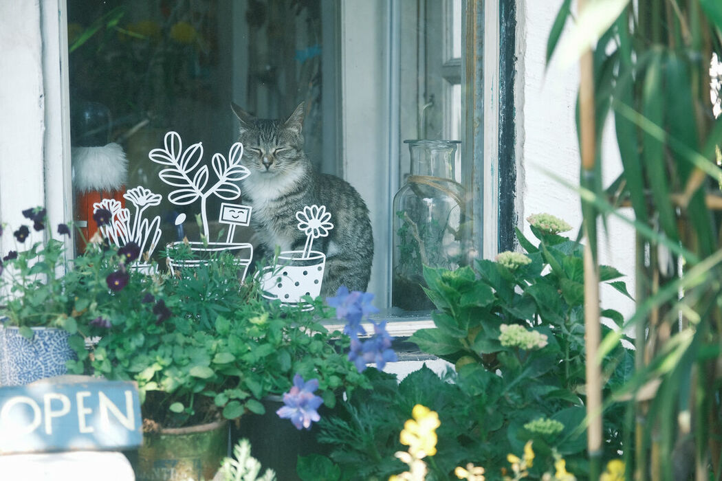 YiTuYu艺图语 Vol.8969 Zhu Shao Zi (41P)