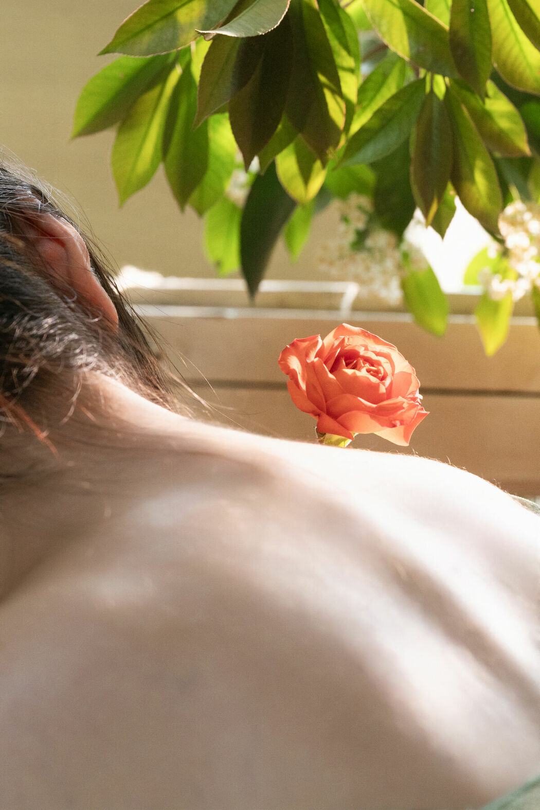 YiTuYu艺图语 Vol.8998 Liu Da Mao (16P)