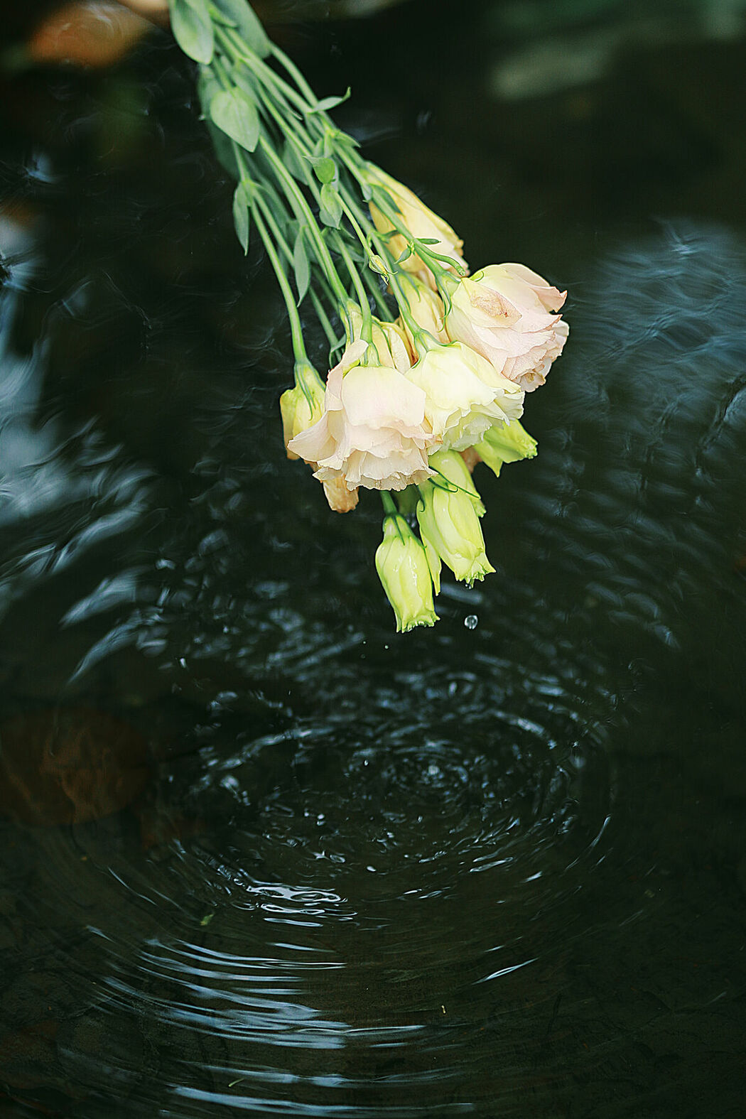 YiTuYu艺图语 Vol.9032 Long Xing Er (29P)