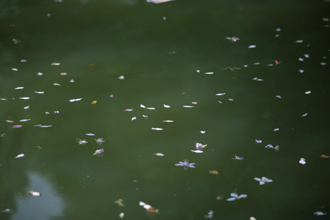 YiTuYu艺图语 Vol.9018 lsababe (39P)