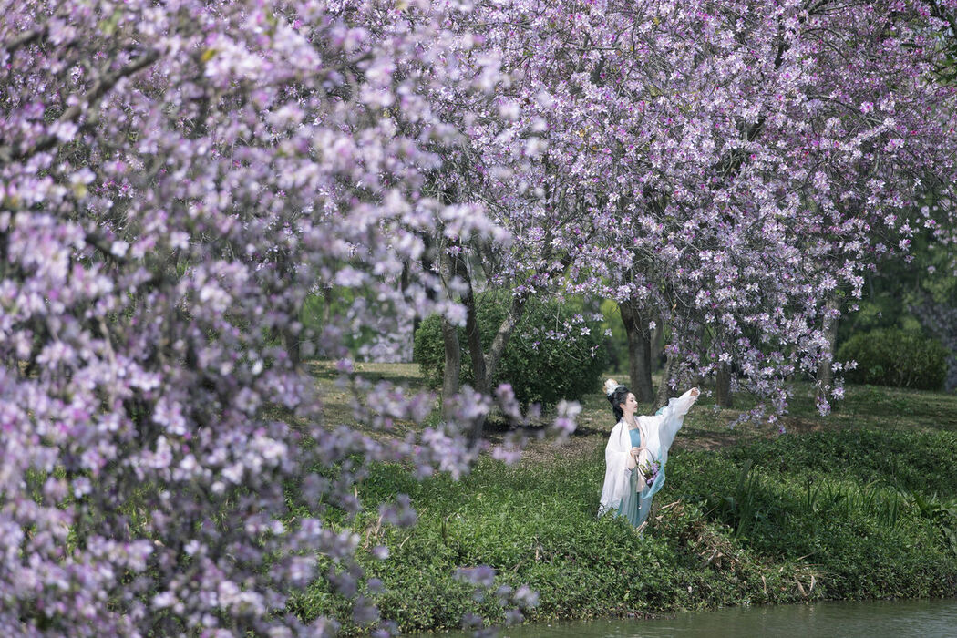 YiTuYu艺图语 Vol.9018 lsababe (39P)