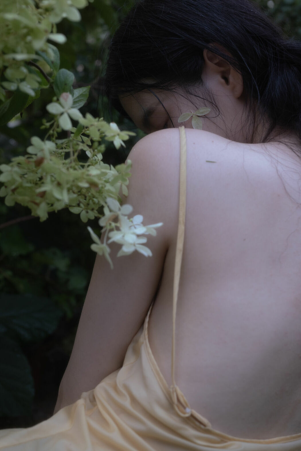 YiTuYu艺图语 Vol.9023 Tree (15P)