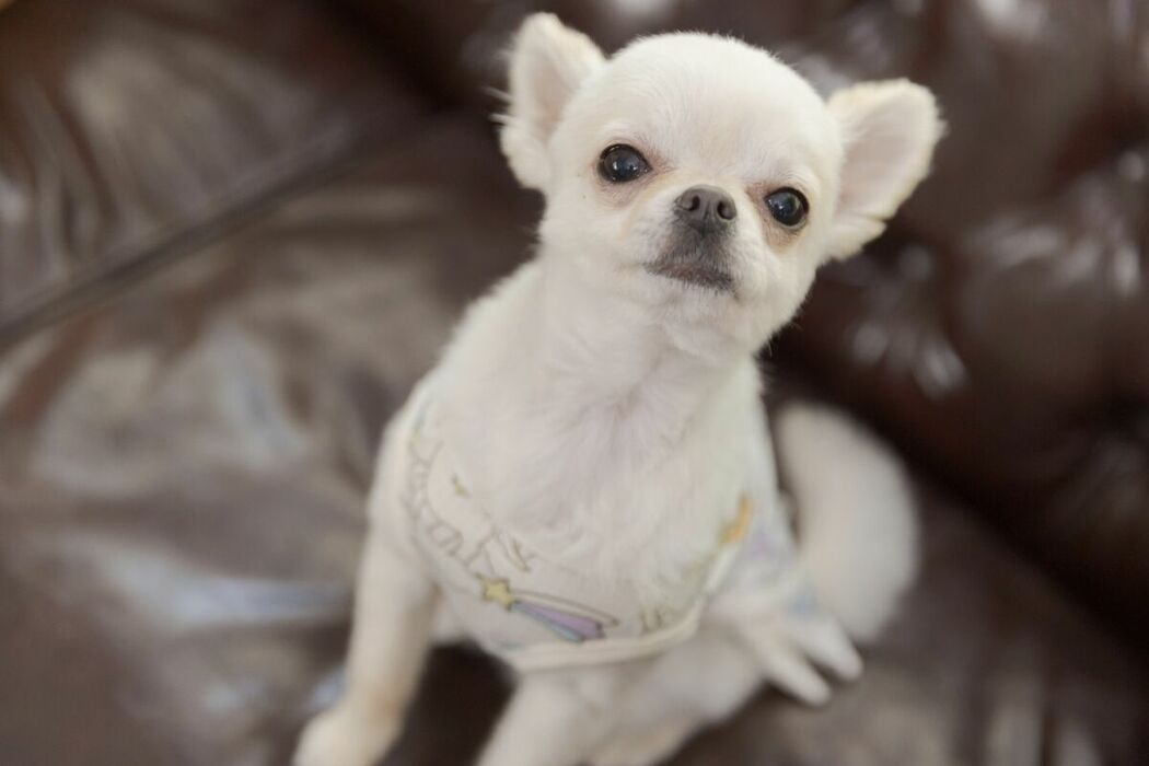 JP Sarina Momonaga 百永さりな – Perfect Day For A Date デート日和 Part01 (57P)