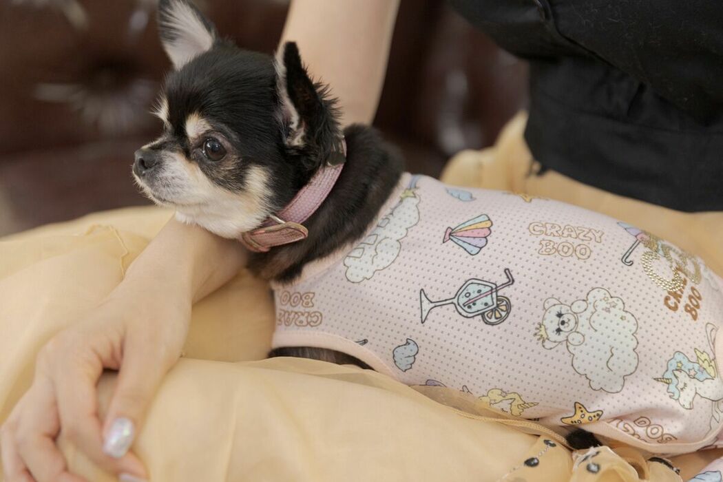 JP Sarina Momonaga 百永さりな – Perfect Day For A Date デート日和 Part01 (57P)