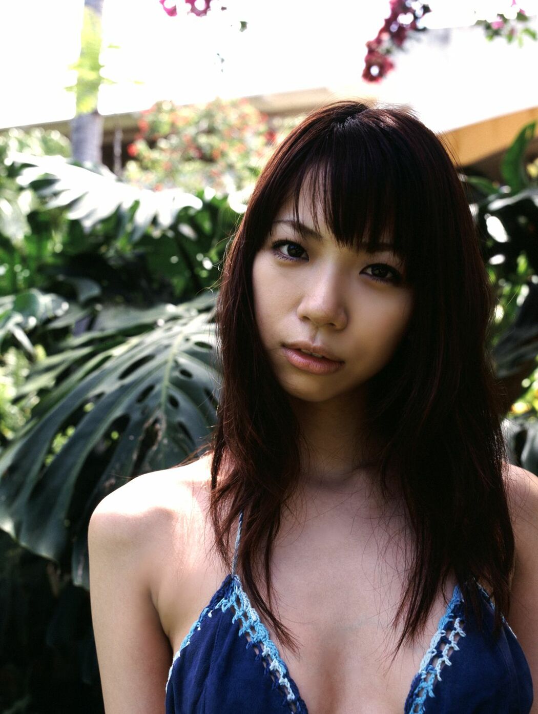 [DGC] No.260 REI NOMA Wild れ れ Photo Set