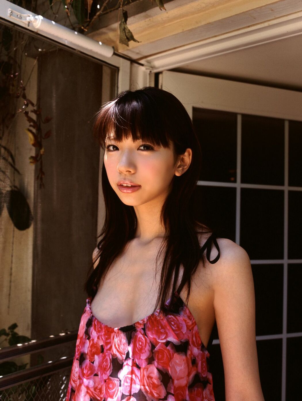 [DGC] No.260 REI NOMA Wild れ れ Photo Set