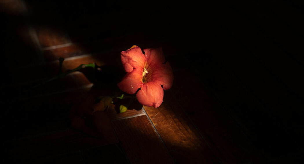 YiTuYu艺图语 Vol.9102 Cai Jing Fan (14P)